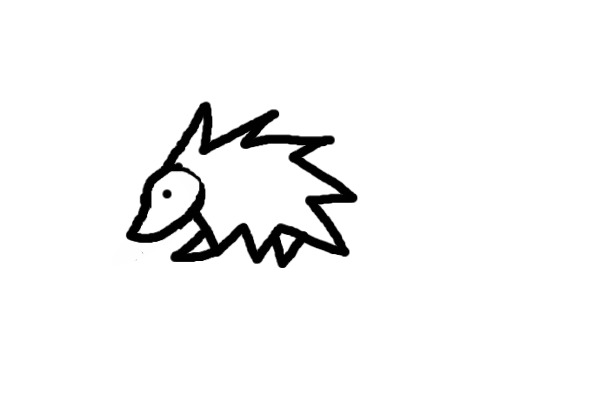 A porcupine