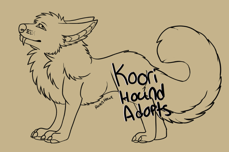 Koori Hound Adopts