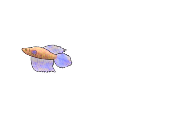 Fish #27 Transparent - Owned By Rest in Pieces