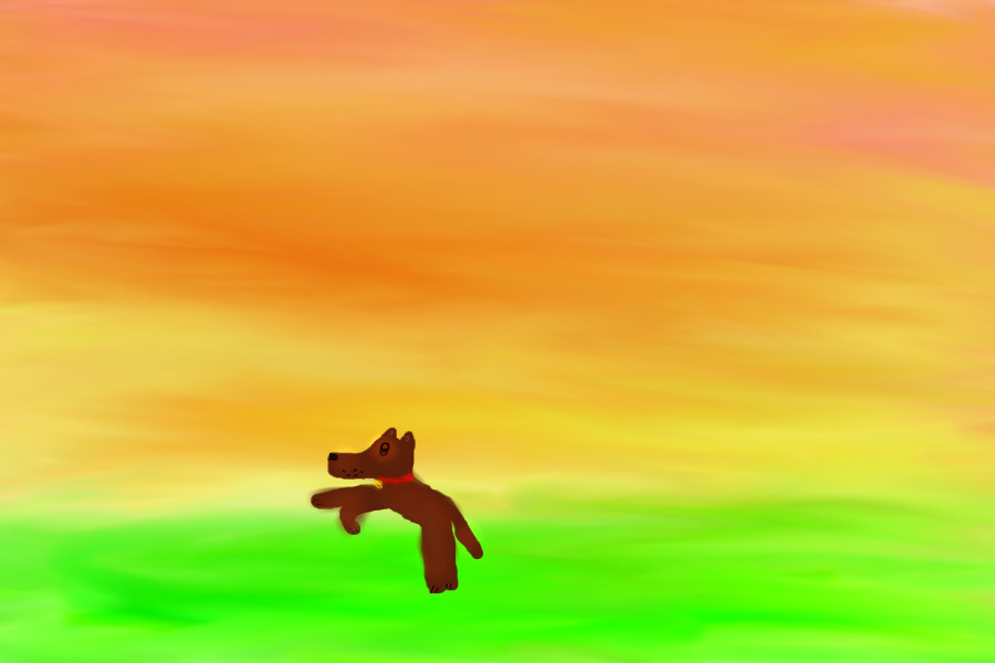 Dog in a sunset <3