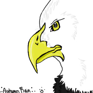 Bald Eagle Avatar