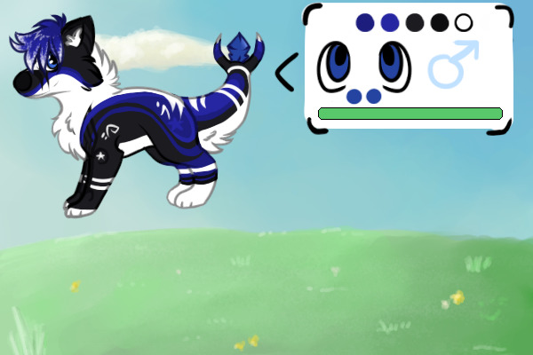 NB #80 - Cadet x Kahan