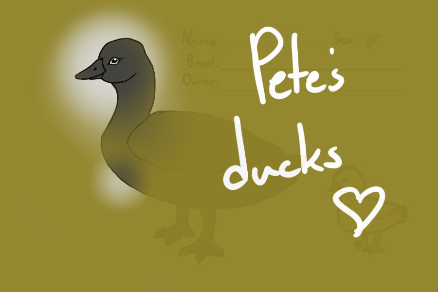 Pete's ducks