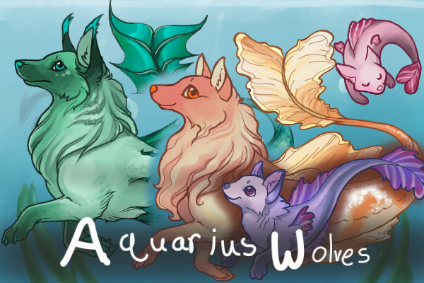 Aquarius Wolves - New Thread!