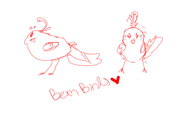 Bean Birds