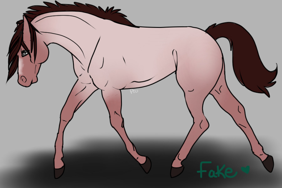 Strawberry Roan