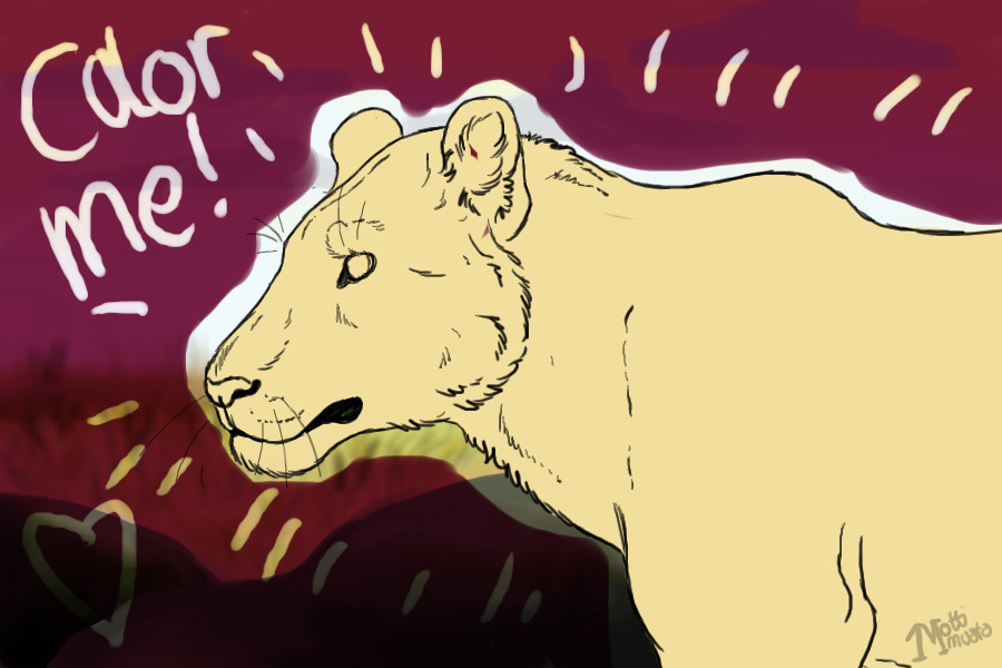 Lioness Lineart