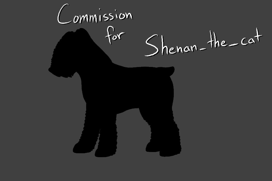 Commission for Shenan_the_cat