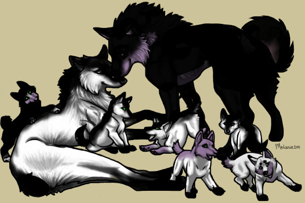 Indigo and Avie's Puppies