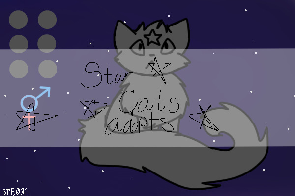 Star Cats Adopts (Please do not post!)