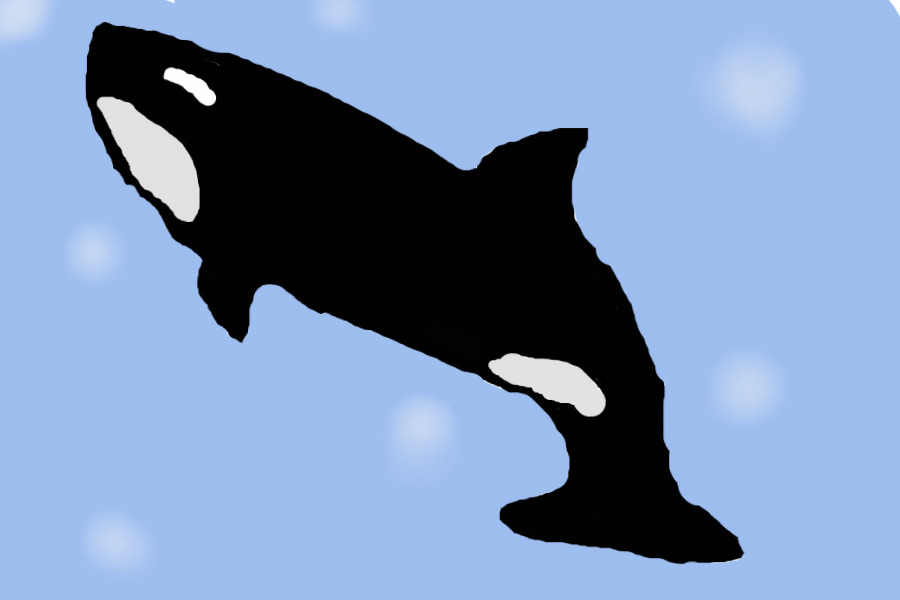 Mrs. Orca