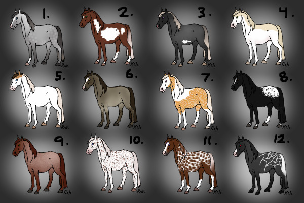 Horse colour examples
