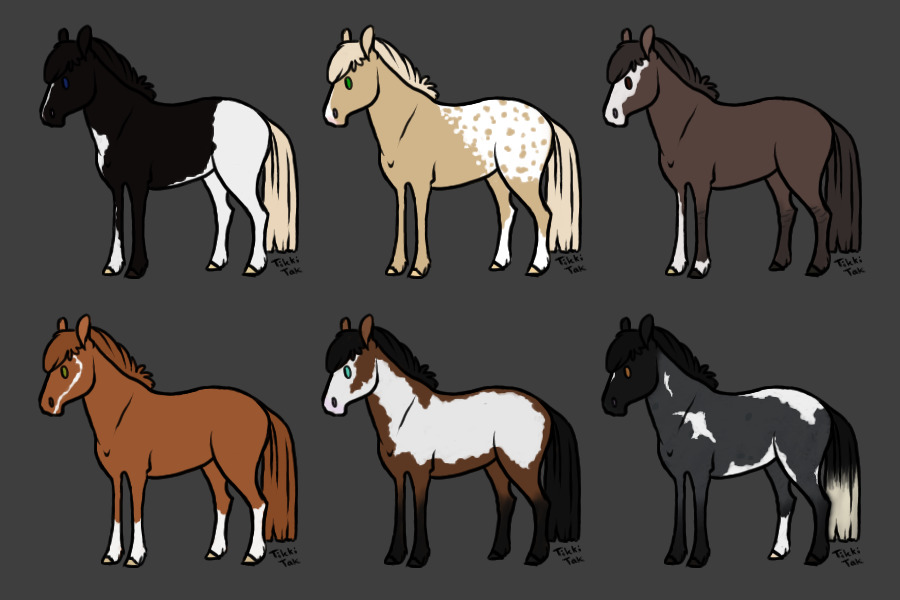 Ponies - Up For Adoption!