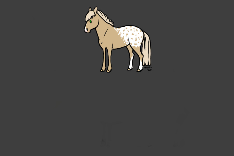 Pony 2 - Palomino Blanket Appaloosa