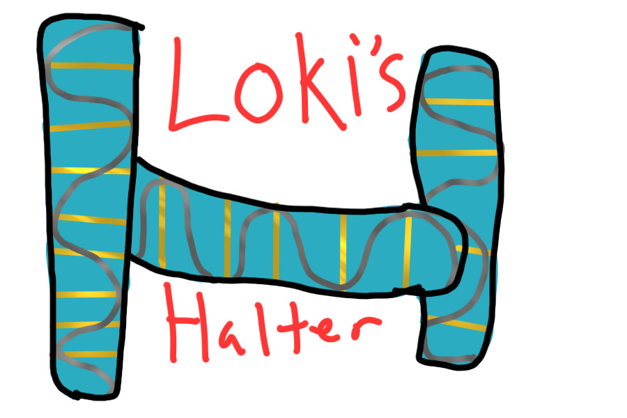Loki's halter