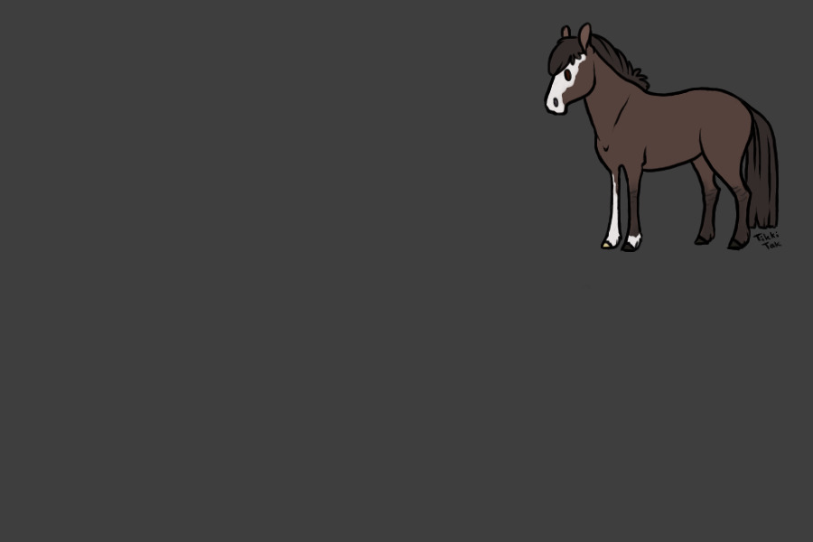 Pony 3 - Grulla