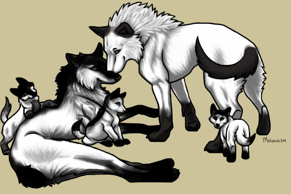 Luck and Avie's Puppies