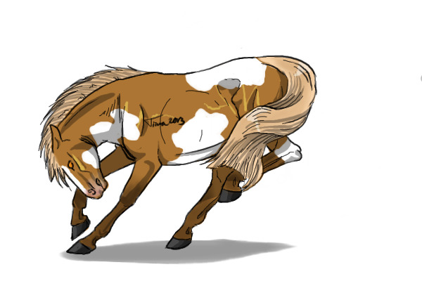 #1 Flaxen Chestnut Overo