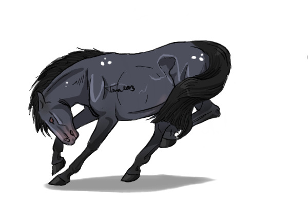 #3 Blue Roan w/ Birdcatcher Spots