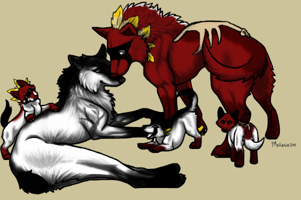 Magnus D'Cardi and Avie's puppies