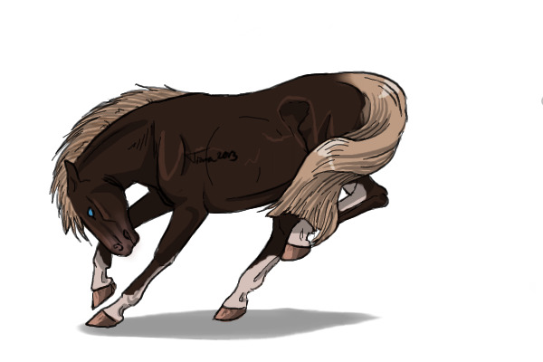 #5 Flaxen Liver Chestnut
