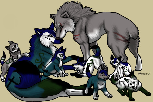 Dobe's BC