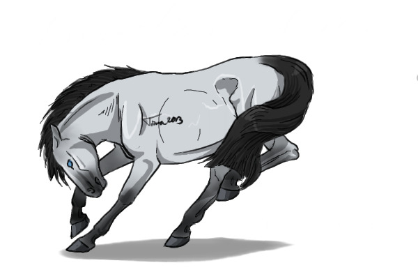 #15 Blue Roan