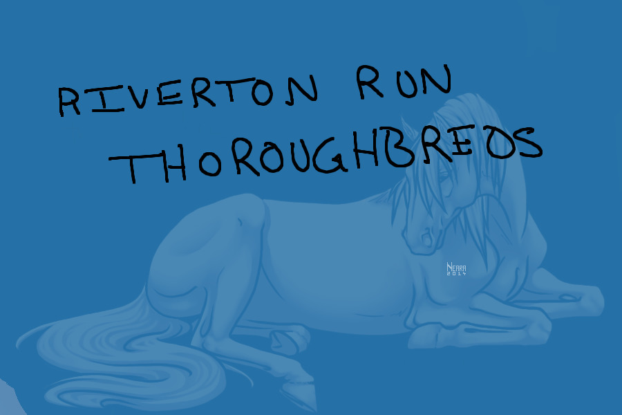 Riverton Run Thoroughbreds