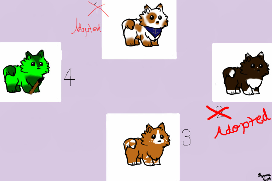 ～ＷｉｎｔｅｒＧａｌｅ Ｐｏｍｅｒａｎｉａｎ Ｐｏｕｎｄ～