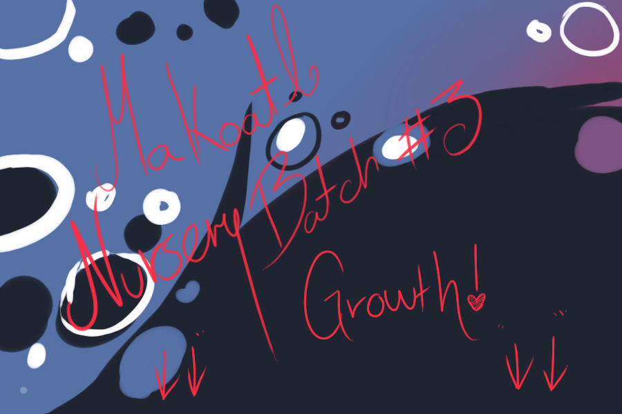 Nursery Batch #3 Growth - Cairo