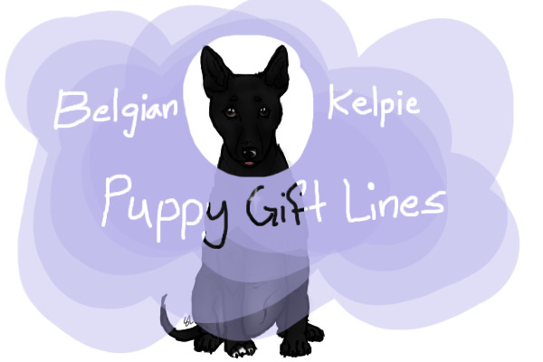 Belgian Kelpie Pup lines