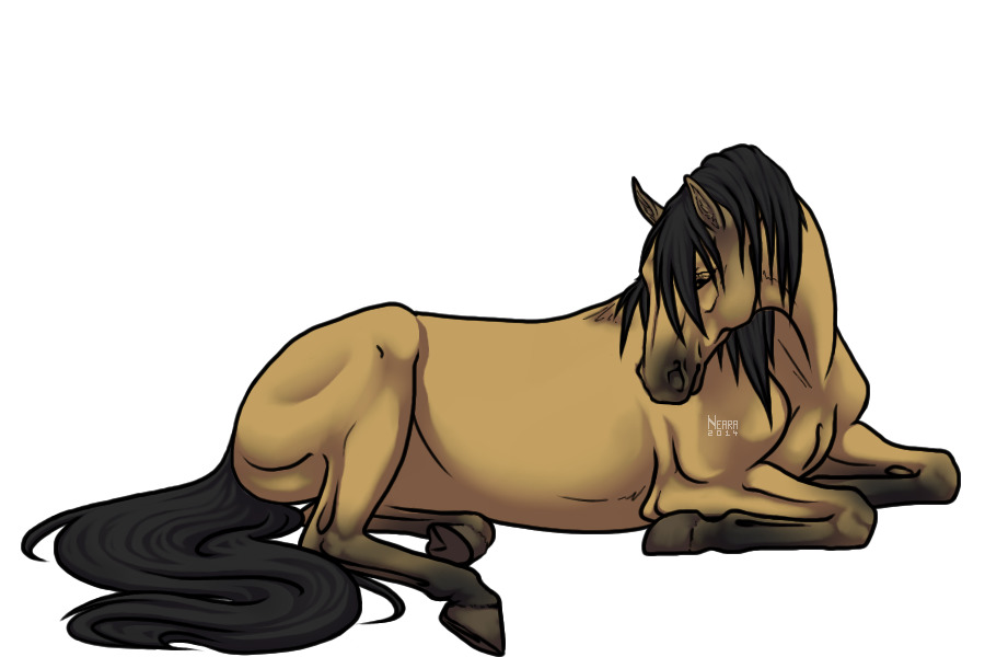 #11 Buckskin