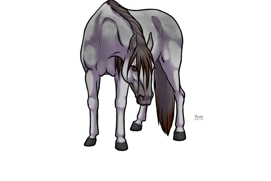 #13 Greying Bay