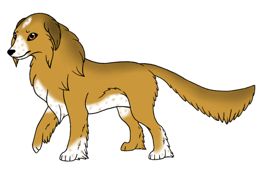 KCB Lost Love Letter