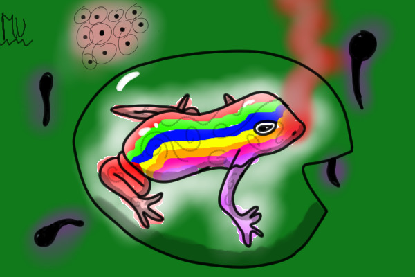 Wainbow fwoggy!