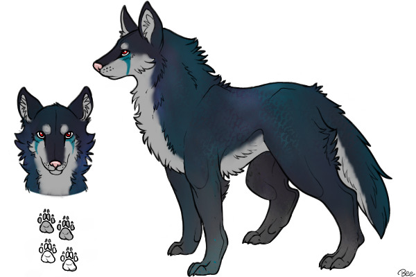 Wolf color in