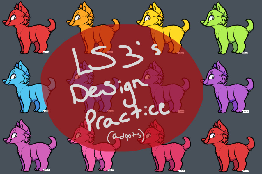 LS3's Design Practice Adopts