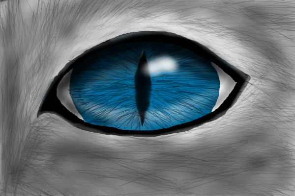 Kitty Eye X3