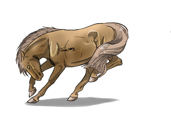 #20 Sooty Palomino
