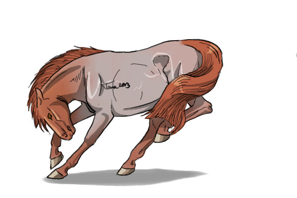 #22 Red Roan