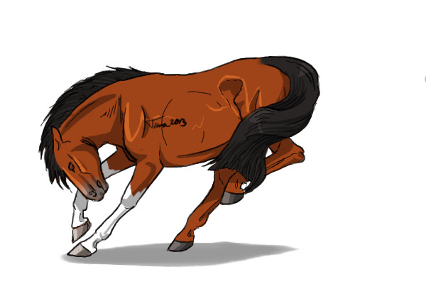 #26 Bay