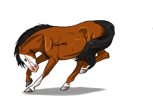 #27 Bay