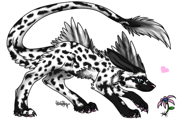 Spots Everywhere