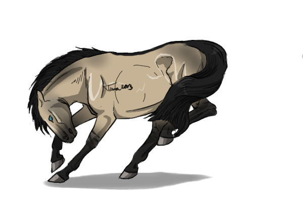 #30 Dunskin