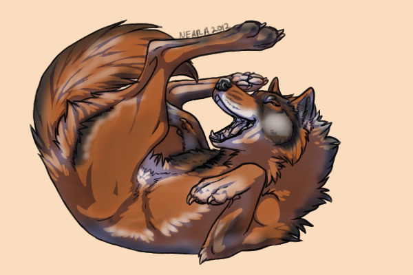 Red wolf