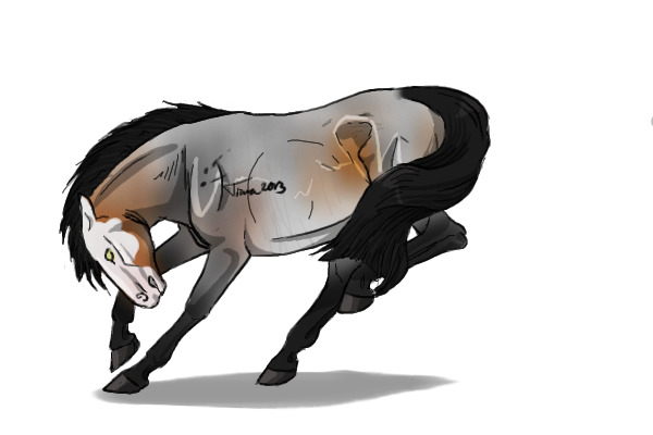 #32 Bay Roan
