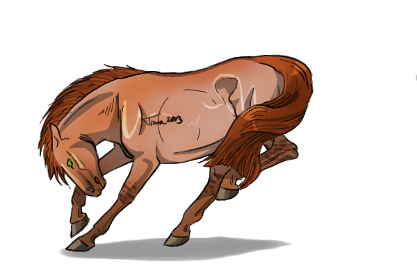 #37 Red Dun