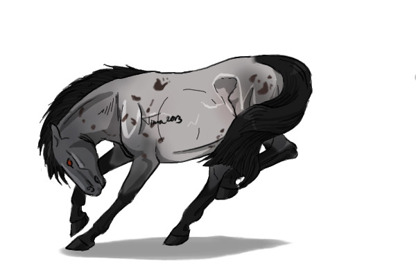 #38 Grullo Roan w/ Corn Spots
