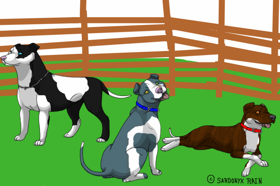 3 pits