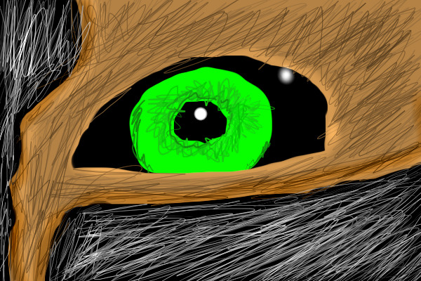 The eye of a horse...